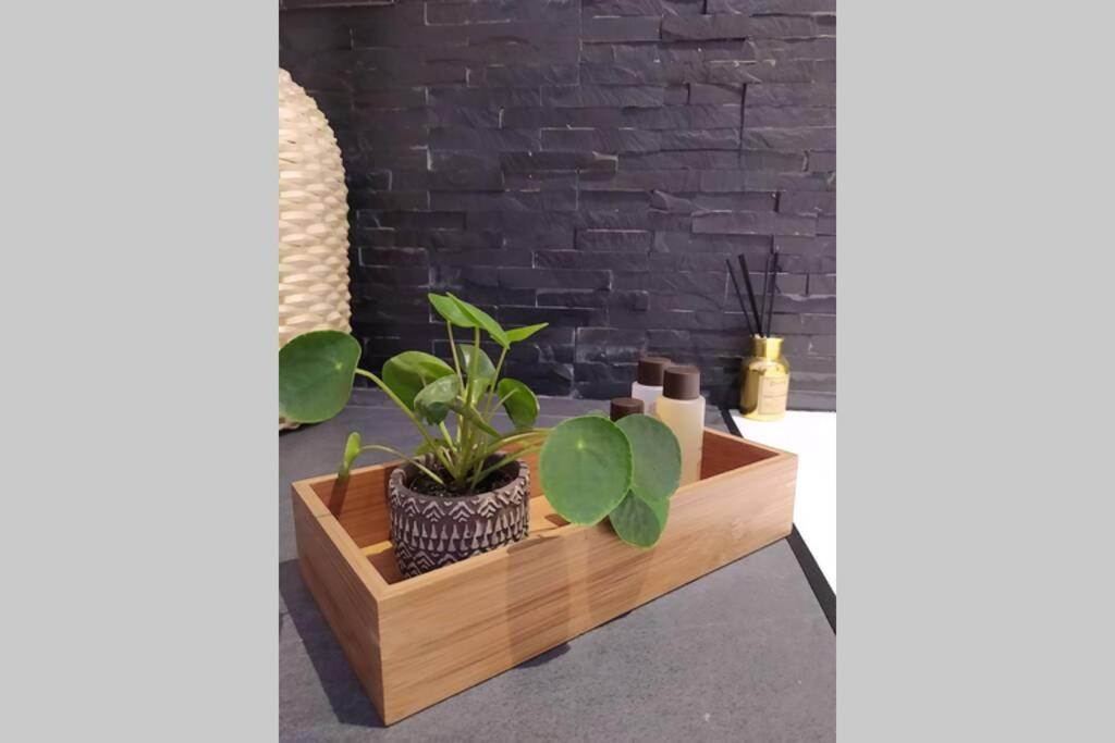 Elegante Open Space Con Vasca Idromassaggio A Trastevere 外观 照片